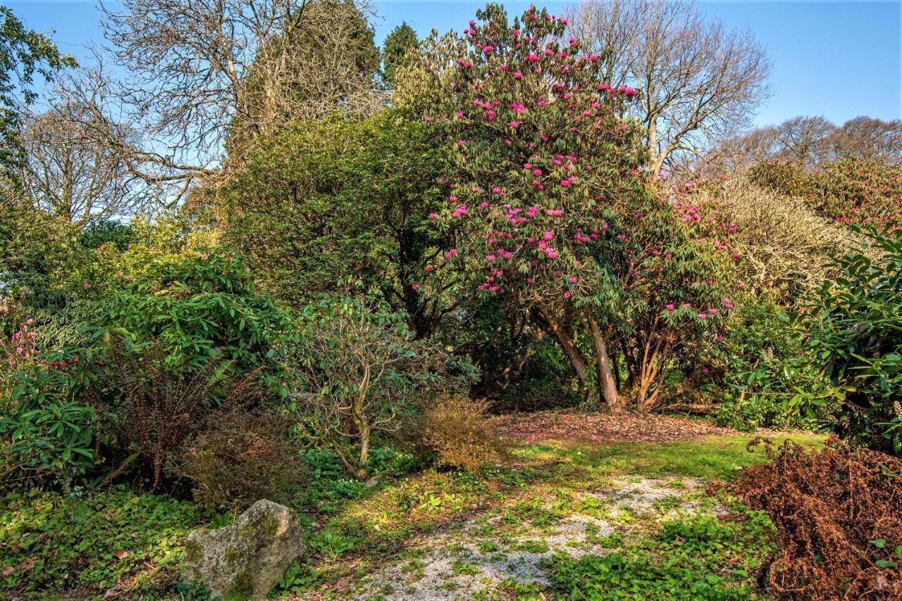 Bosvathick Cottage Constantine Εξωτερικό φωτογραφία